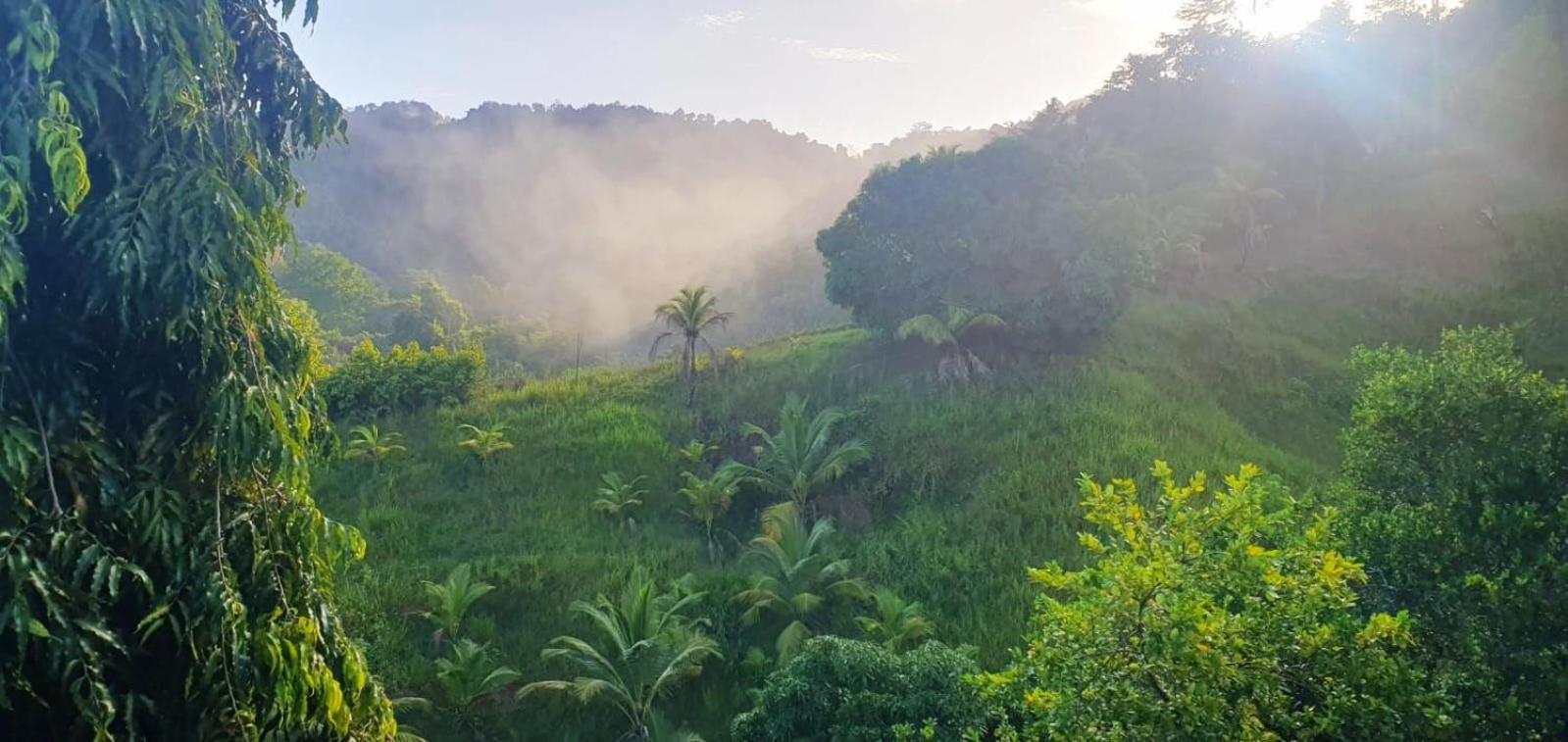 Las Cuevas Beach Lodge Экстерьер фото