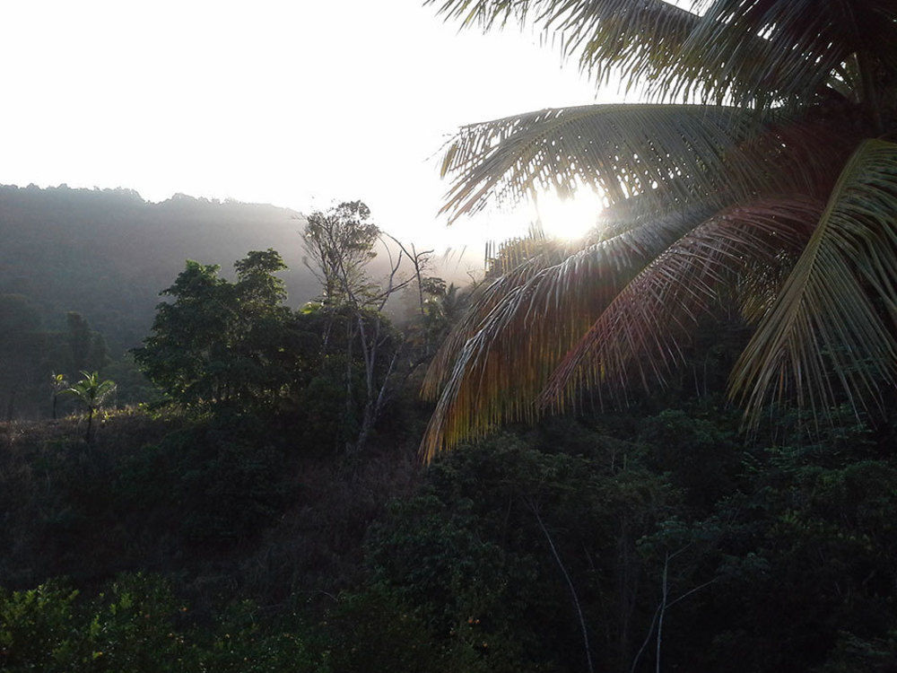 Las Cuevas Beach Lodge Экстерьер фото